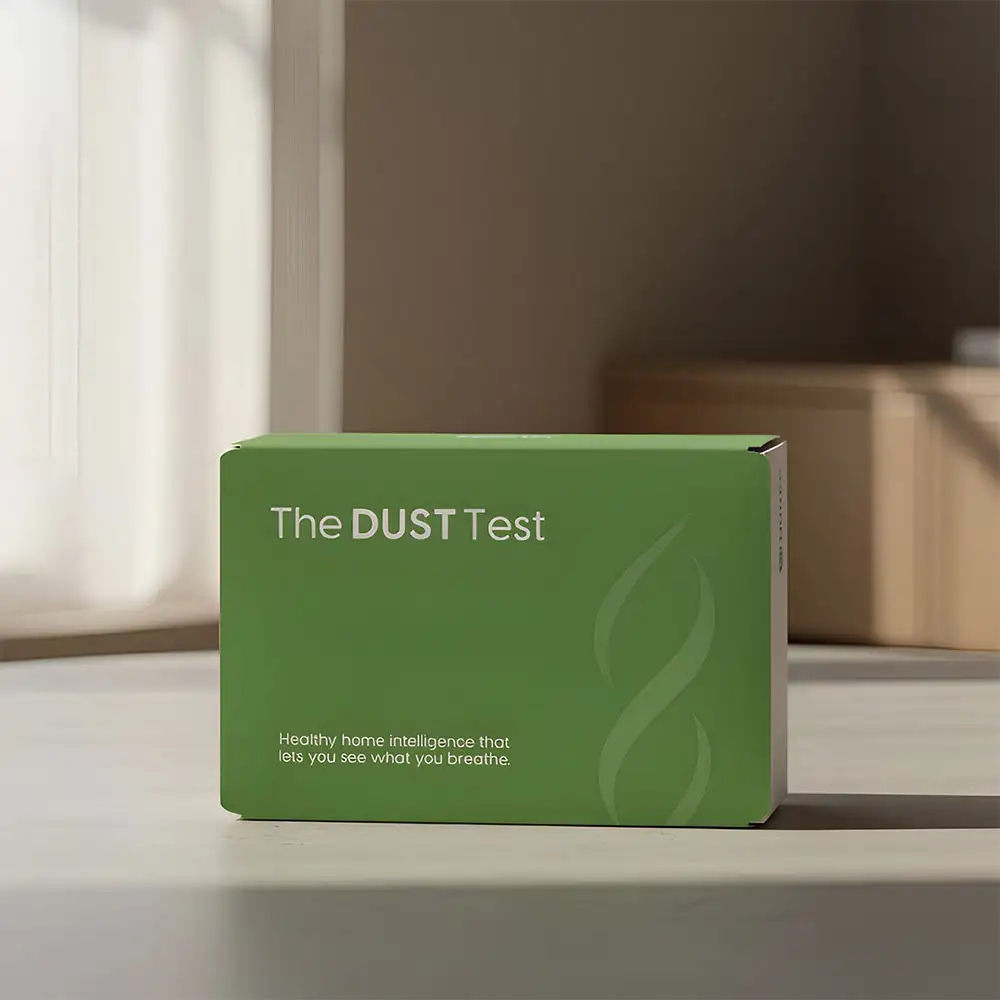 The Dust Test - Image 4