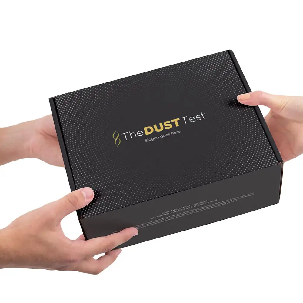 The Dust Test - Image 2