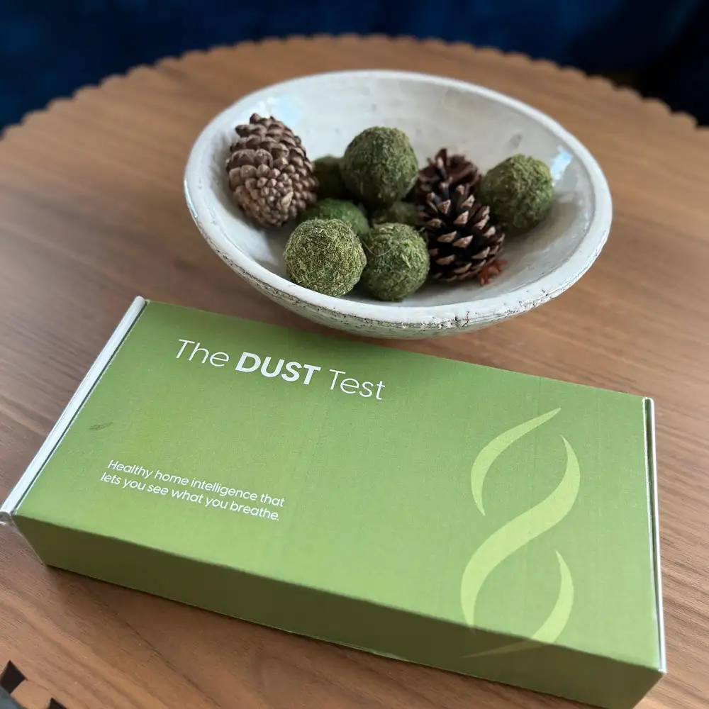 The Dust Test