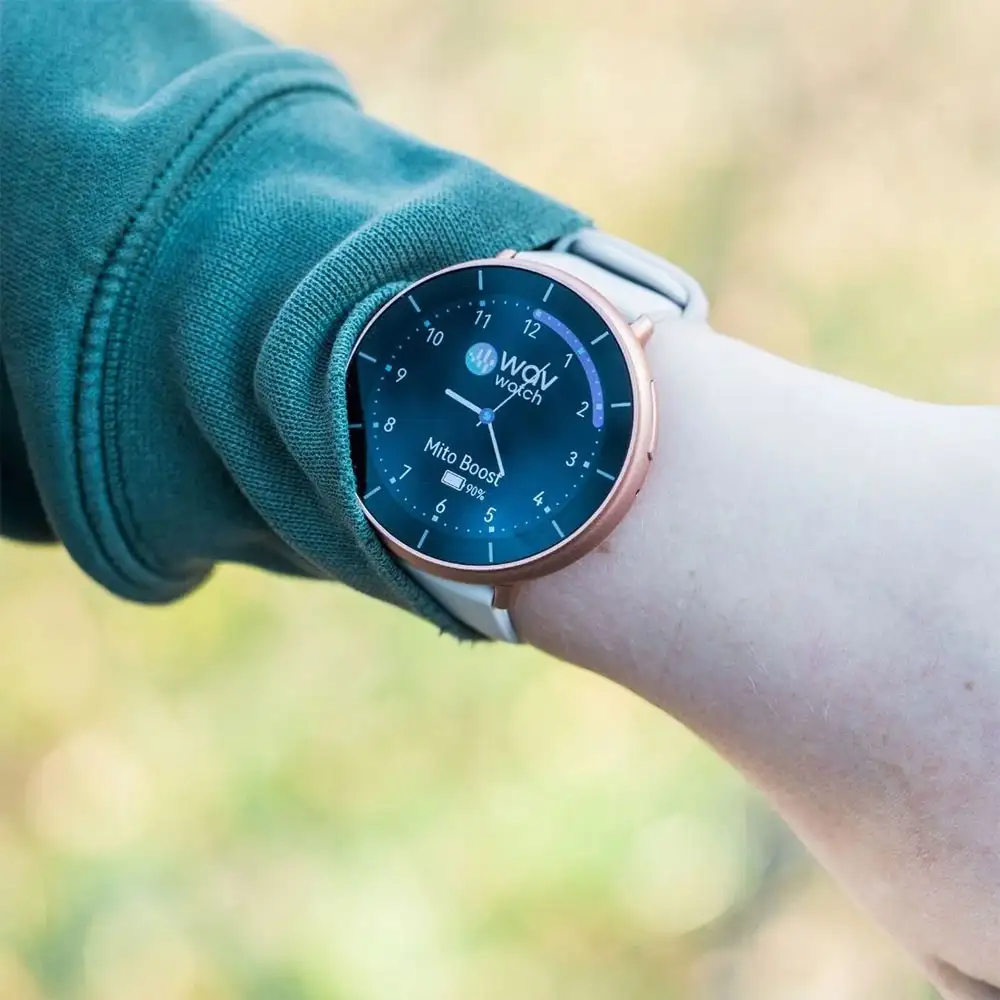 WAVwatch - Image 3